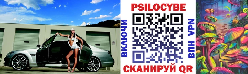 где купить   Кашира  blacksprut онион  Галлюциногенные грибы Psilocybine cubensis 